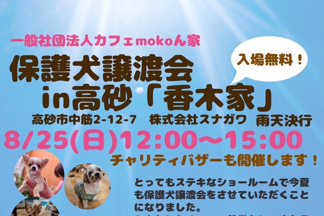 第3回保護犬譲渡会 in 香木家